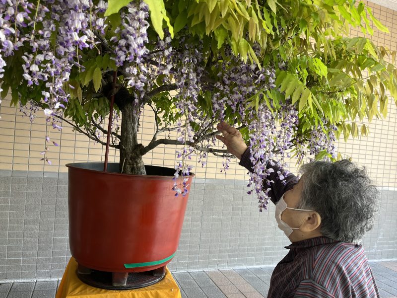 かおりの丘写真２