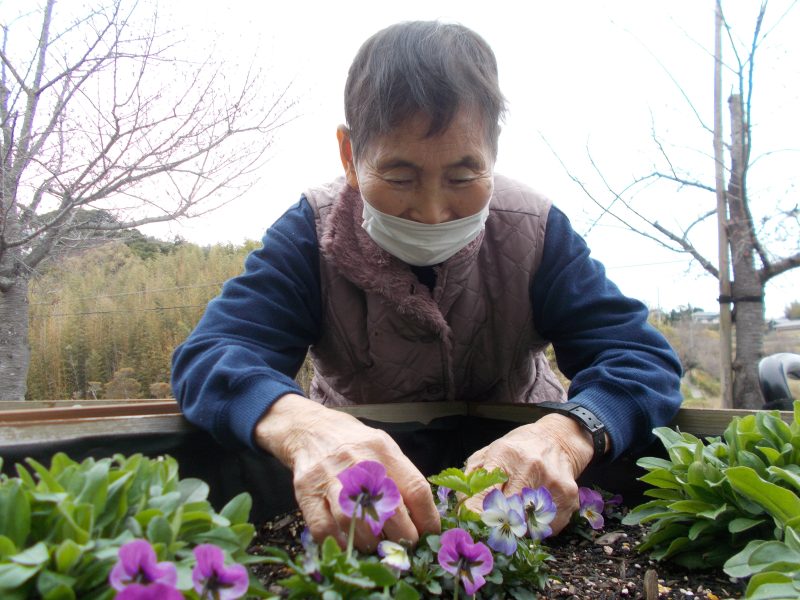 花植え