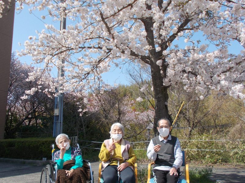 お花見①