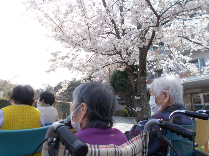 お花見②