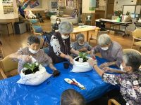 デイサービス　土のう袋で野菜作り